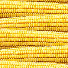 New Threat to Battered Global Market Posed as China Set to Export Corn: Reuters