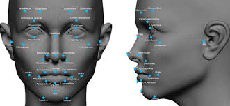 Immediate Need For Government Regulations Over Face Recognition Technology: Microsoft CEO