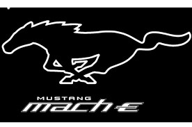 Tesla's US Market Share Being Clawed Into By Ford's Mustang Mach-E Tesla's US Market Share Being Clawed Into By Ford's Mustang Mach-E