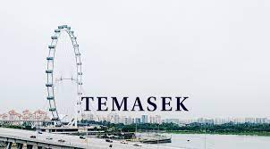 Analysts Expect Singapore's Temasek To Report Record Portfolio Value Analysts Expect Singapore's Temasek To Report Record Portfolio Value