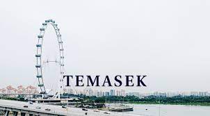 Analysts Expect Singapore's Temasek To Report Record Portfolio Value