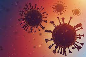 Omicron Variant Grows Faster Thrives In Airways, Not Lungs: New Data On Asymptomatic Infections Omicron Variant Grows Faster Thrives In Airways, Not Lungs: New Data On Asymptomatic Infections