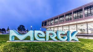 Merck Says Its Covid-19 Pill Molnupiravir Will Be Workable Against The Omicron Variant Merck Says Its Covid-19 Pill Molnupiravir Will Be Workable Against The Omicron Variant