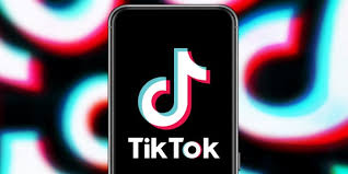 Financial Behemoths Slowly Tread Into TikTok