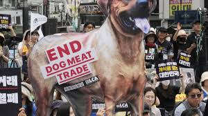 Bill To Outlaw Trade In Dog Meat Passed By The Parliament Of South Korea