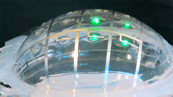 Swiss researchers create stretchable circuits Swiss researchers create stretchable circuits