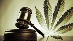 Marijuana Legalization Viewed as a Pot of Gold by California Businessmen