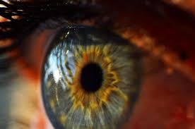 People With Cornea Problems Now Have Hope In 3D-Printed Artificial Corneas People With Cornea Problems Now Have Hope In 3D-Printed Artificial Corneas