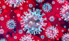 Explainer  For The Coronavirus – Officially Called Covid-19