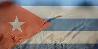 Price Shocks Linked To The Ukraine Endanger Cuba's Already Sluggish Recovery