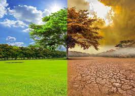 Global Warming Causes The First 12-Month Period Above 1.5C Global Warming Causes The First 12-Month Period Above 1.5C