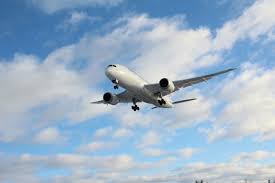 Global Airline Executives Will Handle Climatic And Geopolitical Issues
