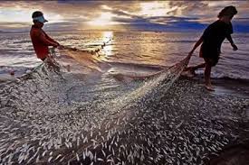 WTO Fisheries Deal Takes Effect, Redrawing the Rules That Drive Global Overfishing