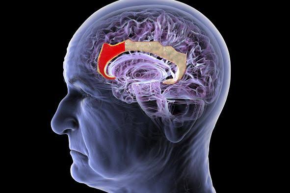 Wearable Brain Interfaces Challenge the Implant-First Future