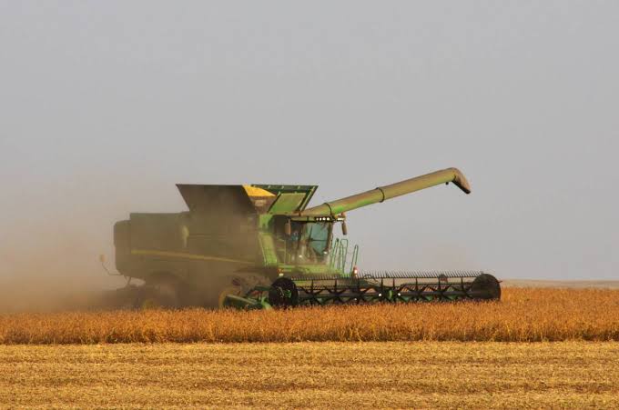 Delayed Soy Harvest Exposes America’s Growing Processing Bottleneck