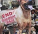 Bill To Outlaw Trade In Dog Meat Passed By The Parliament Of South Korea