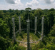 Brazil’s Amazon ‘Time Machine’ Tests the Future of Climate as COP30 Nears Brazil’s Amazon ‘Time Machine’ Tests the Future of Climate as COP30 Nears