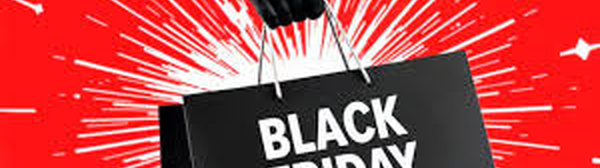 Record US Black Friday Online Sales Reach $8.6 Billion as Digital Shopping Surges Despite Economic Pressures