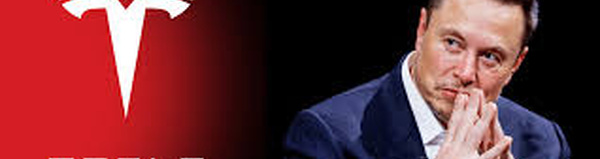 Court Reversal Recasts Executive Power and Shareholder Authority at Tesla