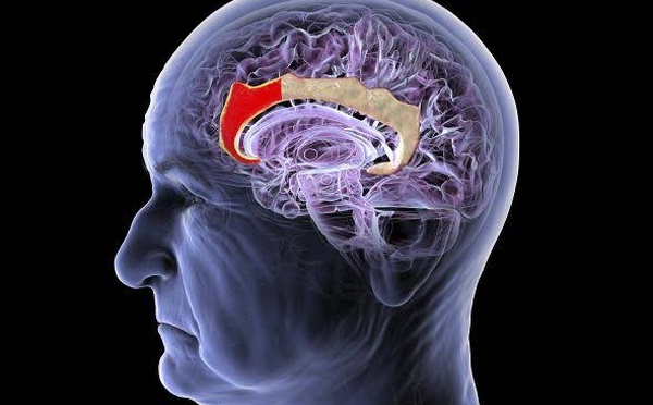 Wearable Brain Interfaces Challenge the Implant-First Future