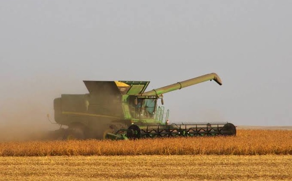 Delayed Soy Harvest Exposes America’s Growing Processing Bottleneck