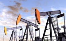 Pain of Downturn Shouldered by Oil Companies with Lower Output