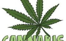 Investor Believes that a Growing Opportunity would be Available by Relaxation of Laws for Cannabis