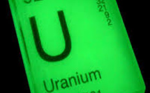 Decision by Main Producer Kazakhstan to Trim Output Makes Uranium Prices to Glow