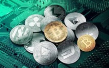 There Are More Than 800 Dead Cryptocurrencies And 70 Fall In Bitcoin Since End Of Last Year