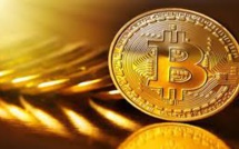 Following A Volatile Decade, Harvest Being Reaped By Early Bitcoin Investors