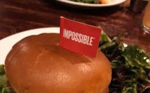 Chinese Market Eyed By US’s Impossible Foods With Its Meat Alternatives