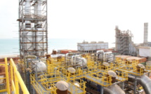 How to meet the many challenges of African industrialization