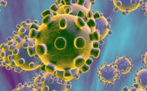 Death Toll Of Coronavirus Increase To 26, More Than 900 Confirmed Cases Globally