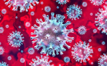 Explainer  For The Coronavirus – Officially Called Covid-19