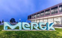 Merck Says Its Covid-19 Pill Molnupiravir Will Be Workable Against The Omicron Variant