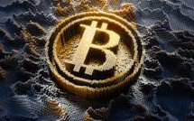 Reasons Behind The Poor Central African Republic Adopting Bitcoin