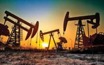 To Alleviate Shortages, Cash-Strapped Sri Lanka Will Eliminate Its Petroleum Duopoly