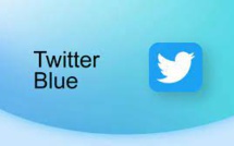 Elon Musk Says The Relaunch Of Twitter Blue Has Been Postponed
