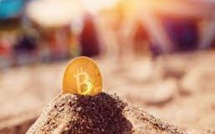 Miners Of Bitcoin Reap Profit Before The "Halving"