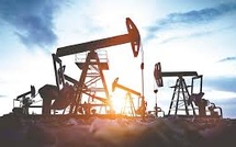 Global Oil Outlook: Abundant Supply and Soft Prices Amid Demand Uncertainty