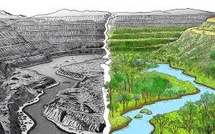 Barclays Warns Nature Loss Could Slash Mining Earnings by 25 Percent