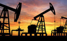 The Rockefeller Family Fund to divest from fossil fuel ASAP