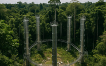 Brazil’s Amazon ‘Time Machine’ Tests the Future of Climate as COP30 Nears