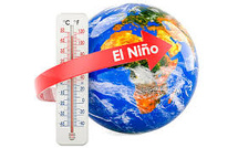El Nino's Global Reach Tests Weather, Food and Energy Systems