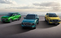 China Uses South Africa to Expand Its Next Auto Market