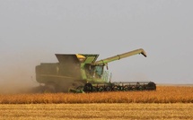 Delayed Soy Harvest Exposes America’s Growing Processing Bottleneck